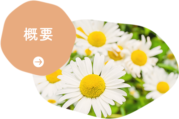 概要