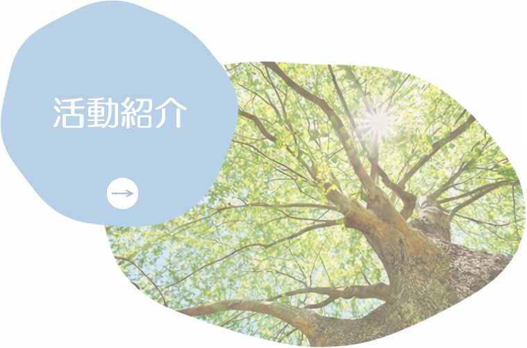 活動紹介